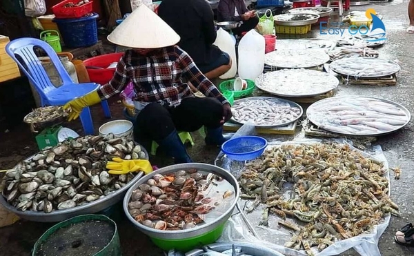 Chợ hải sản đa dạng các đặc sản Cô Tô