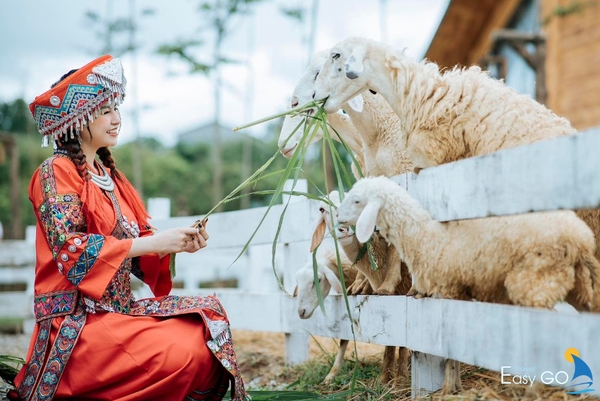 Chỉ cần vài nhánh cỏ để đổi lấy một tấm hình sống ảo ngay tại Mật Pet Farm. Cũng đáng thử nhỉ?