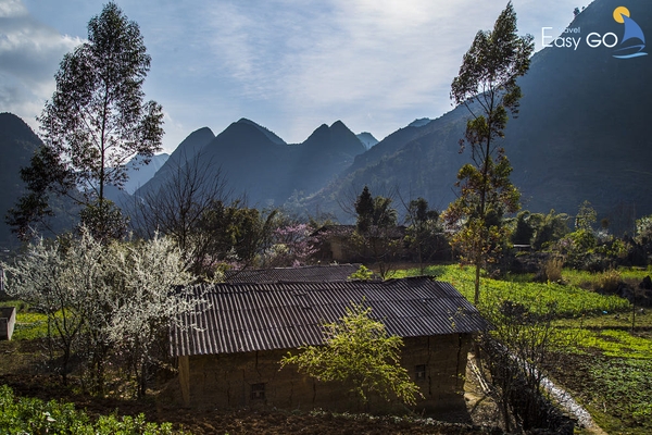 Thông tin hữu ích về đi du lịch Hà Giang - EASY GO TRAVEL
