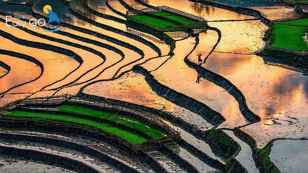 Du lịch Hà Giang mùa nào đẹp nhất - Kinh nghiệm du lịch Hà Giang Theo Mùa
