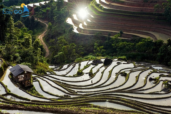 Hà Giang Mùa Nào Đẹp? Khám Phá Kinh Nghiệm Du Lịch Hà Giang Theo Mùa