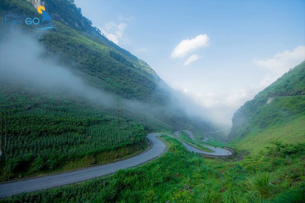 Hà Giang Mùa Nào Đẹp? Khám Phá Kinh Nghiệm Du Lịch Hà Giang Theo Mùa