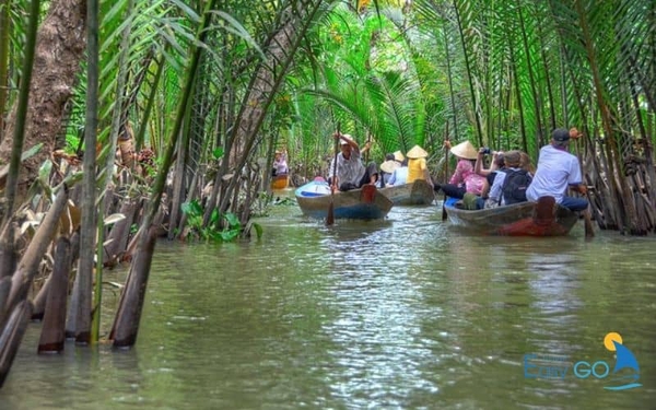 Bạn sẽ được chèo thuyền và ngắm cảnh tại khu sinh thái Cồn Phụng  