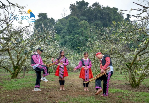 Người dân trang phục dân tộc vui chơi giữa vườn hoa mận trắng nở rộ.