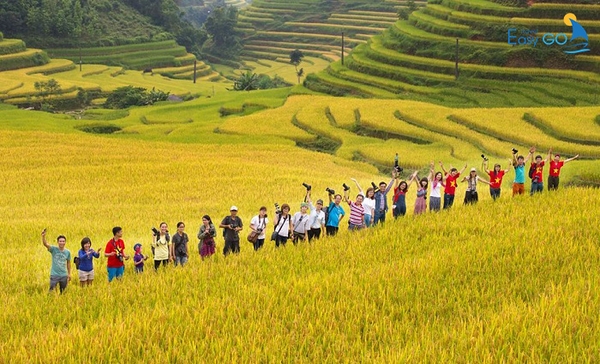 Kinh nghiệm du lịch Hà Giang tự túc chi tiết từ A-Z