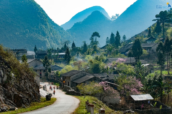  Bỏ túi ngay kinh nghiệm du lịch Hà Giang 3 ngày 2 đêm chi tiết nhất