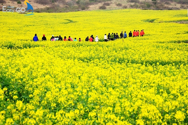 Kinh nghiệm du lịch Hà Giang từ thành phố Hồ Chí Minh: di chuyển, lưu trú, ăn chơi