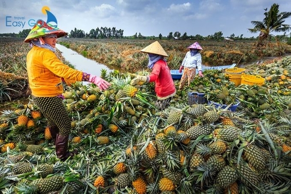 Làng du lịch cộng đồng Cánh đồng khóm Cầu Đúc