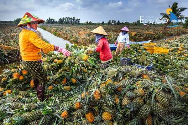 Làng du lịch cộng đồng Cánh đồng khóm Cầu Đúc