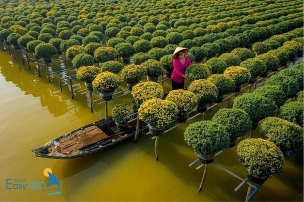 Làng hoa Sa Đéc nằm tại số 43 đường Bùi Thị Xuân, phường Tân Quy Đông