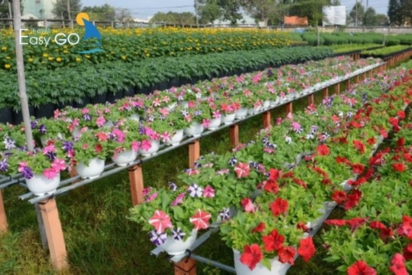 Làng hoa Tân Quy Đông là trung tâm hoa kiểng lớn nhất của miền Nam 