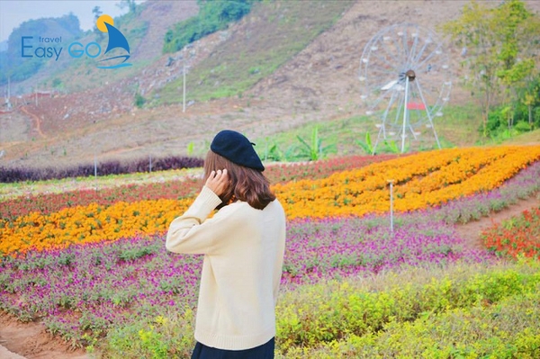 Happy Land được mệnh danh “vườn hoa đẹp nhất” tại Mộc Châu.