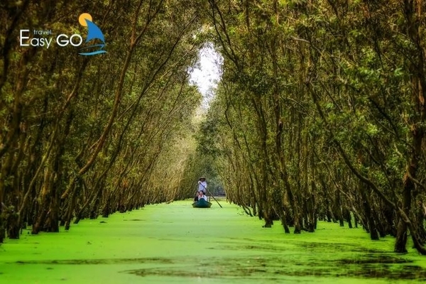 Rừng tràm Trà Sư chỉ cách Châu Đốc khoảng 30km