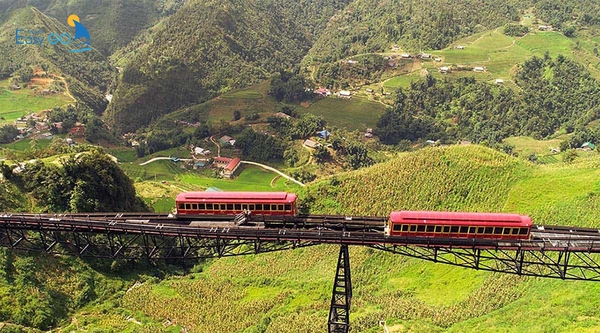 Tàu hoả là phương tiện di chuyển được nhiều du khách lựa chọn
