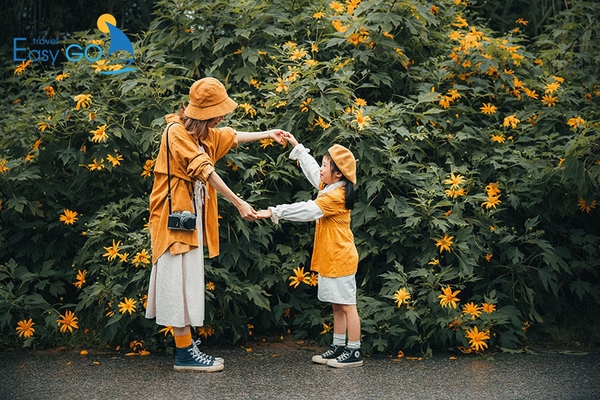 Mùa thu là mùa hoa dã quỳ tạo nên địa điểm check in lý tưởng của nhiều bạn trẻ.