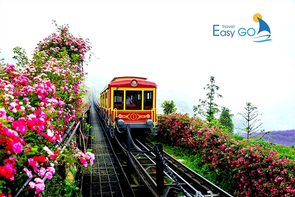 Thung lũng Mường Hoa nhiều người gọi “thiên đường hạ giới” tại Sapa