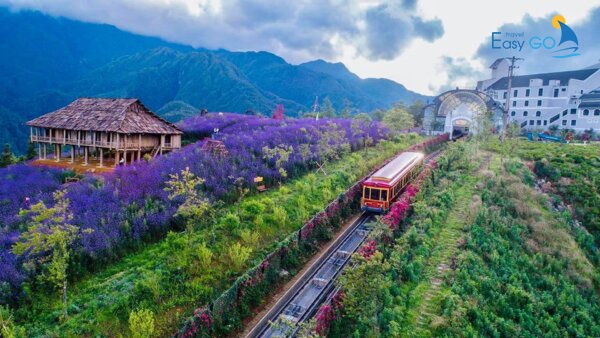 Trải nghiệm thung lũng Mường Hoa đẹp thơ mộng