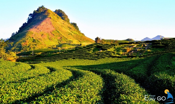 Mộc Châu là nơi dừng chân lý tưởng để bạn quên đi mọi muộn phiền của cuộc sống