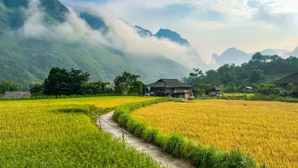 Tour Du Lịch Hà Giang trọn gói Easy Go Travel