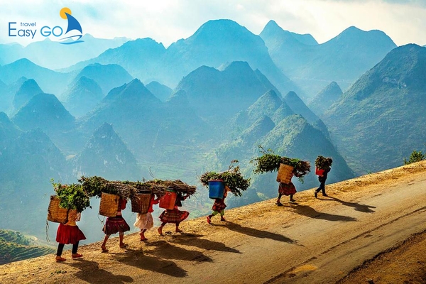 Tour Du Lịch Hà Giang trọn gói Easy Go Travel