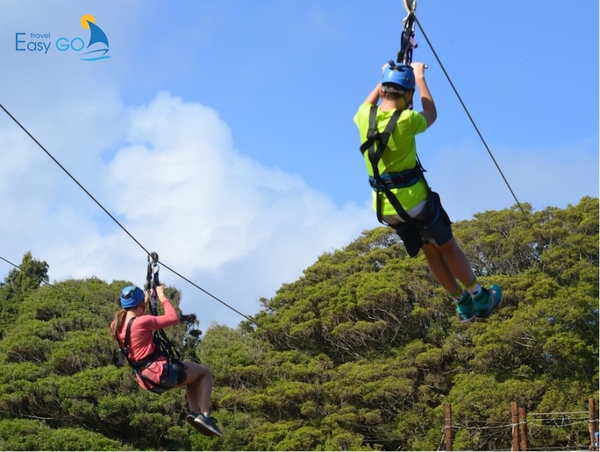 Đường trượt zipline giúp bạn có cơ hội chiêm ngưỡng cảnh đẹp ở khoảng cách gần