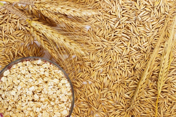 Beta - glucan nấm men: Một chất điều hòa miễn dịch bảo vệ và chất bổ trợ tiềm năng cho COVID-19 và nhiều bệnh nhiễm trùng đường hô hấp khác