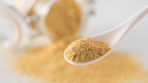 Tìm hiểu Protein từ men vi sinh