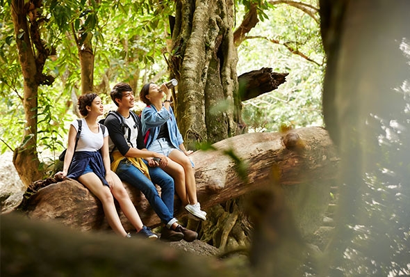 YERA Protein - Đối tượng và cách sử dụng sản phẩm