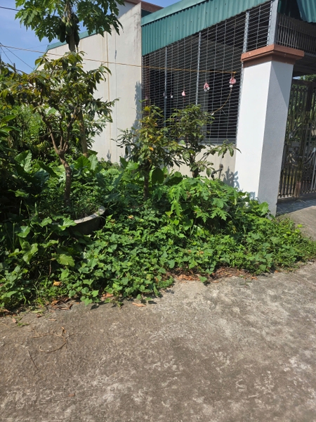 A736  = B120 - khu 5 - bắc sơn