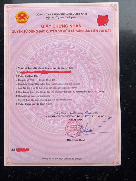 A733 - Tân Lập - Phương Đông