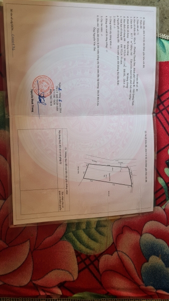 M350 - Khu 8 - Thanh Sơn