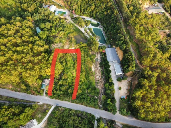 A34 - đất cây lâu năm. Lựng Xanh - khu 5 - Quang Trung