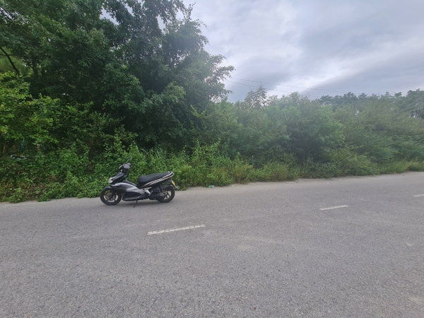A34 - đất cây lâu năm. Lựng Xanh - khu 5 - Quang Trung