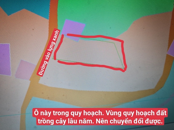 A34 - đất cây lâu năm. Lựng Xanh - khu 5 - Quang Trung