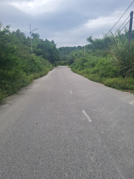 A34 - đất cây lâu năm. Lựng Xanh - khu 5 - Quang Trung