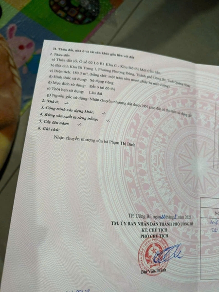 A263 - ô số 2. Lô B1. Hoa nhàn C - Bí Trung 1- Phương Đông