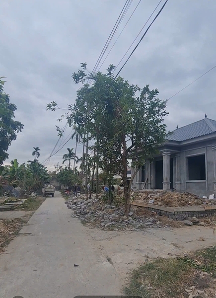 A293 - ô số 8 - Quy hoạch Bạch Đằng 1 - Phương Nam