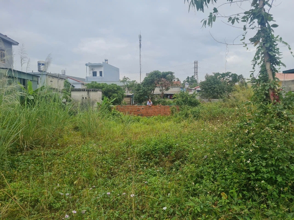 A293 - ô số 8 - Quy hoạch Bạch Đằng 1 - Phương Nam