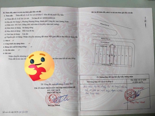 A319 - ô 16.A4 - QH Hoa nhàn C - Bí Trung 1 - Phương Đông