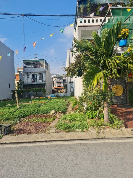A329 - ô số 61. Quy hoạch sau Nón Sơn - khu 7 - Quang Trung
