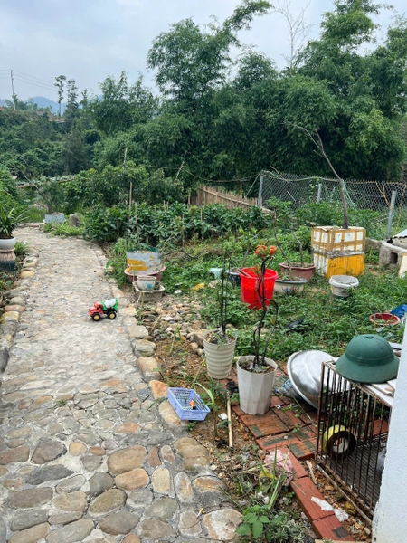 A479 - Nhà mặt tiền kinh doanh - khu 1 - Bắc Sơn