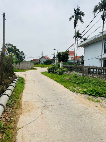 A481 - Đồng Minh - Phương Đông