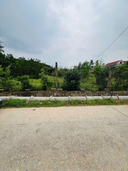A481 - Đồng Minh - Phương Đông