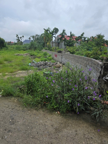 A488 A489 - khu hiệp thái - Phương Nam