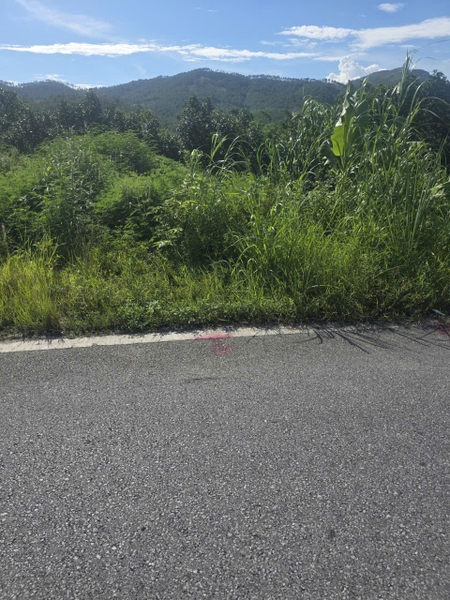 A541 - ô số 4 - Đất mặt tiền Kinh doanh -  Khu 4 -Bắc Sơn - Vàng Danh