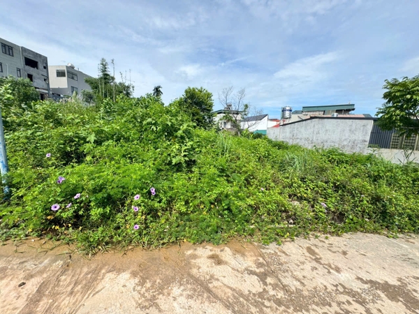 A549 - khu 4 - Quang Trung - Uông Bí