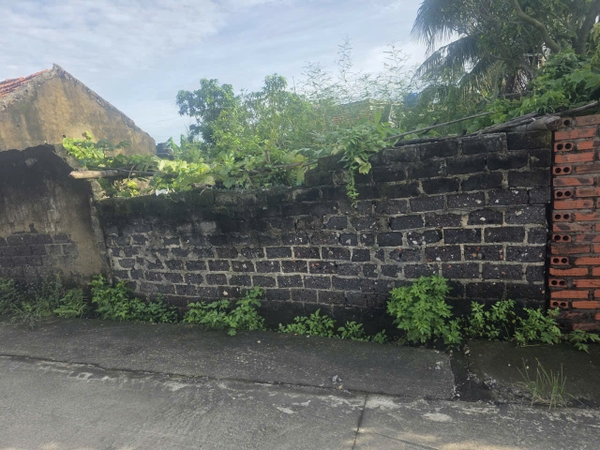 A554 - Phú Thanh Tây - Yên Thanh - Uông Bí