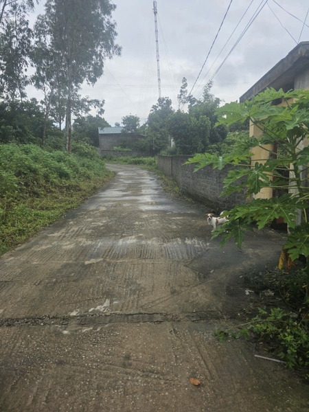 A556 - khu Quang Trung 5 - Uông Bí