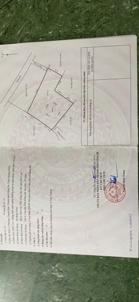 A561 - khu 9 - Quang Trung