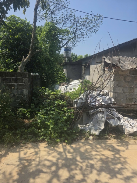 A561 - khu 9 - Quang Trung